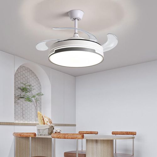 Intelligent fan light