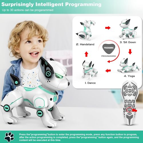 Remote controlled robotic dog