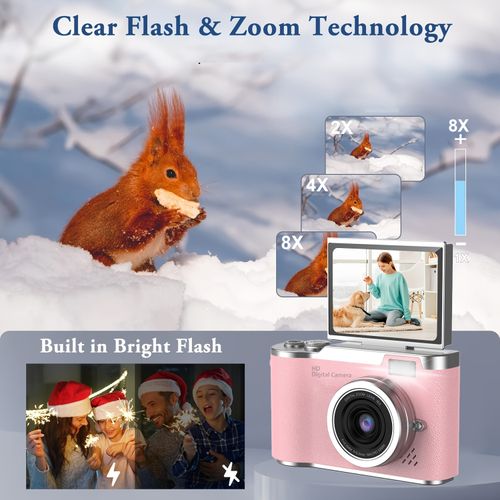 Video Camera Camcorder