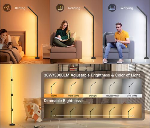 Simple floor lamp wall lamp