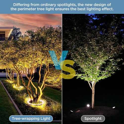 Give Your Trees a 360° Warm Glow