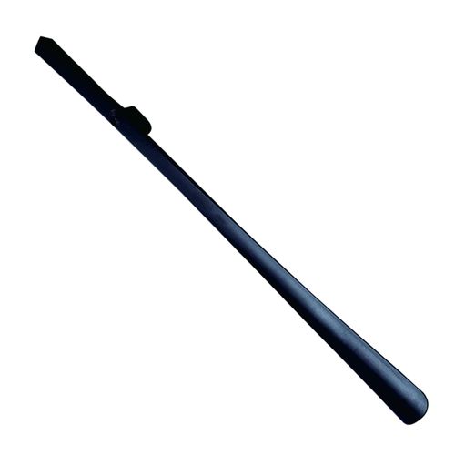 Magnetic Shoe Horn