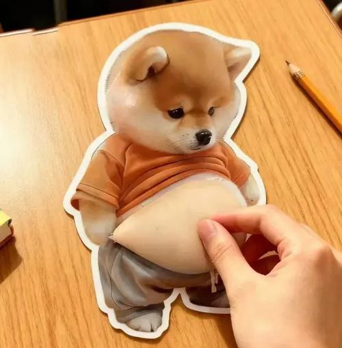 3D Dog & Cat Belly Mochi Squishy Stickers