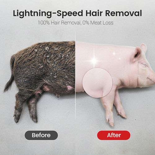 Pig Hair Remover Scraper Disc