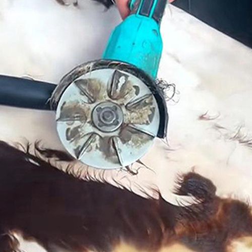 Pig Hair Remover Scraper Disc