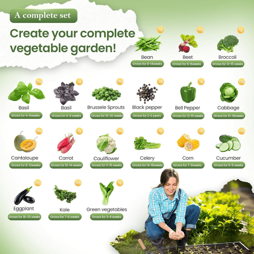 Vegetable Seed Vault Kit - 35 Variety Pack