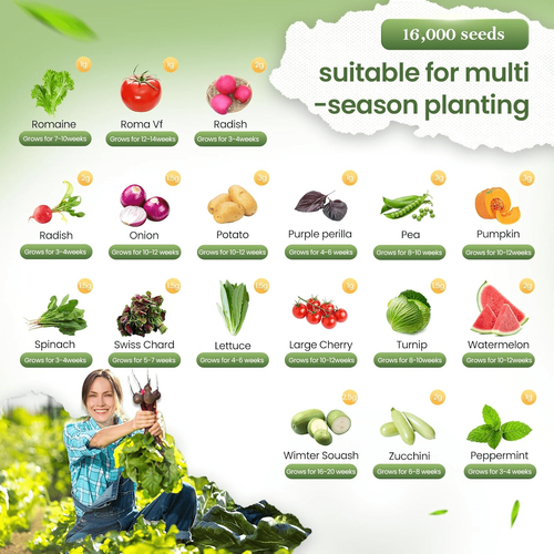 Vegetable Seed Vault Kit - 35 Variety Pack