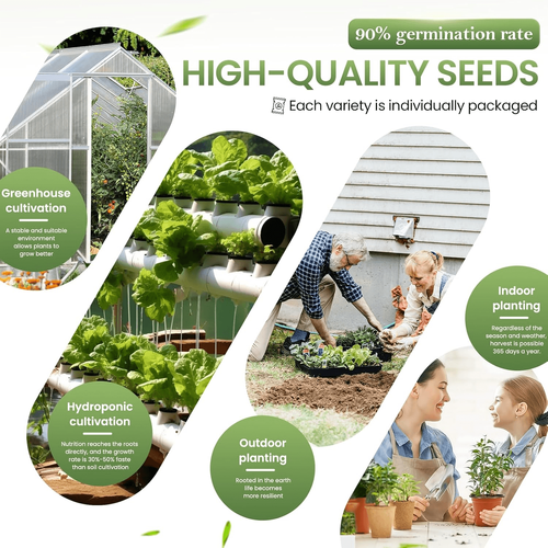 Vegetable Seed Vault Kit - 35 Variety Pack