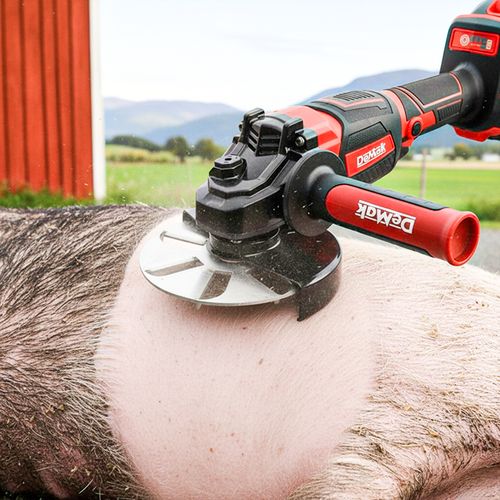 Pig Hair Remover Scraper Disc
