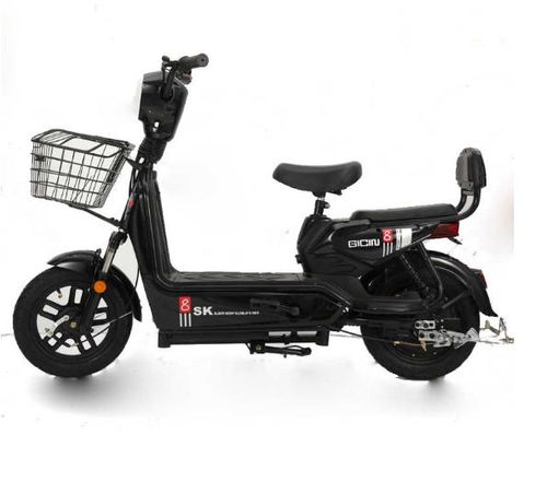 electric bicycle