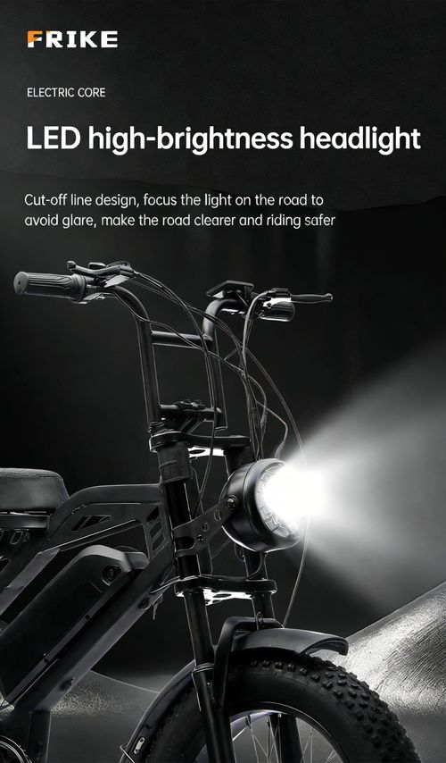 Factory Direct 20 Fat Tire Electric Mountain Bike, Lithium Battery Snow Off-Road E-Bike, All-Terrain Electric Assist Bicycle for Export