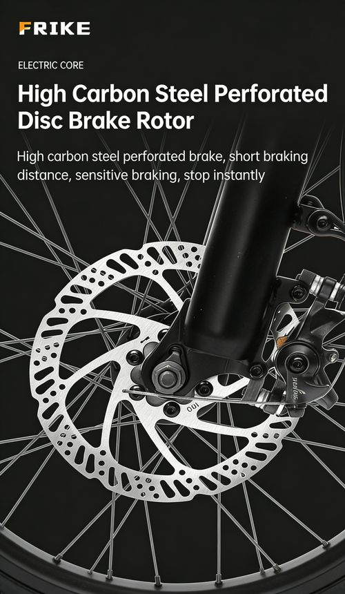 Factory Direct 20 Fat Tire Electric Mountain Bike, Lithium Battery Snow Off-Road E-Bike, All-Terrain Electric Assist Bicycle for Export