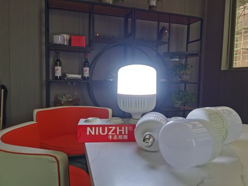 Super Bright 10W LED Bulb E27 B22 High Power Energy Saving Home Lighting 关键词