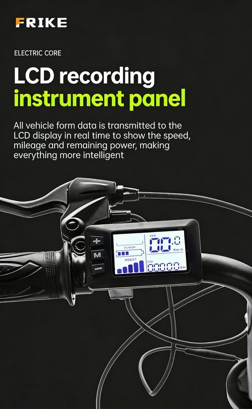 Factory Direct 20 Fat Tire Electric Mountain Bike, Lithium Battery Snow Off-Road E-Bike, All-Terrain Electric Assist Bicycle for Export