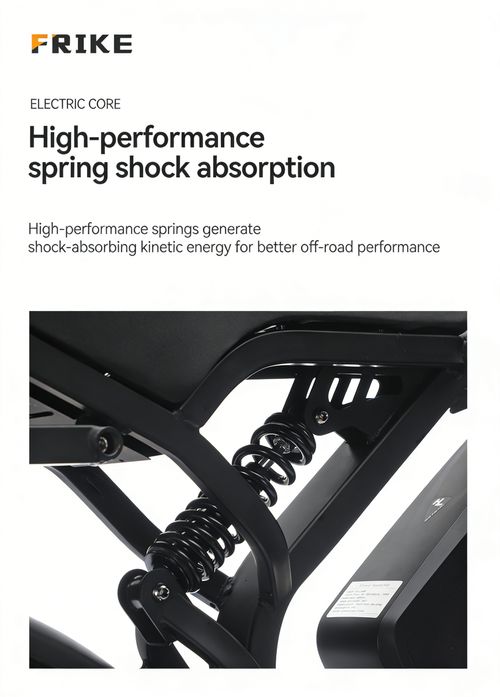 Factory Direct 20 Fat Tire Electric Mountain Bike, Lithium Battery Snow Off-Road E-Bike, All-Terrain Electric Assist Bicycle for Export