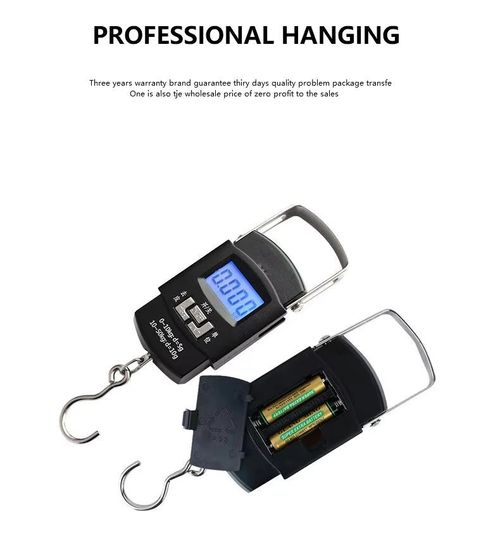 Handheld scale