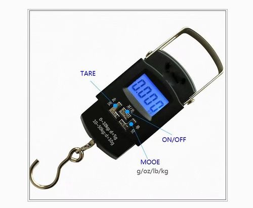Handheld scale
