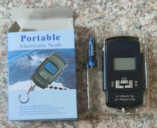 Handheld scale