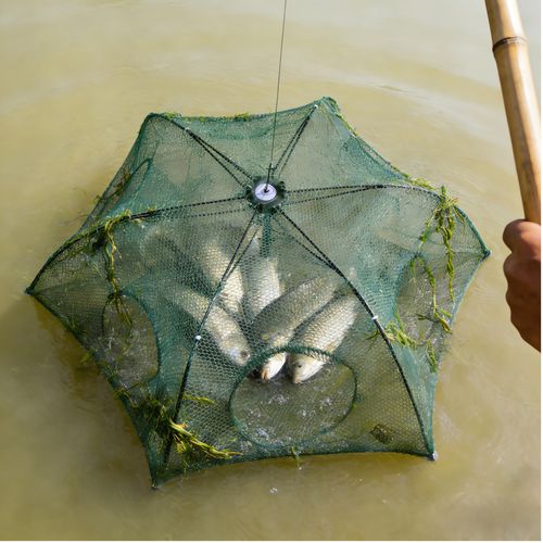 fishing net