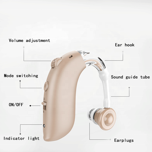 Hearing aid