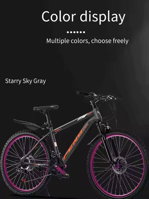 24-Inch Mountain Bike (MTB)