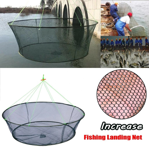 Collapsible Fish Trap
