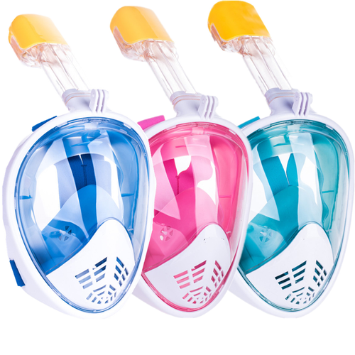 Snorkel Set