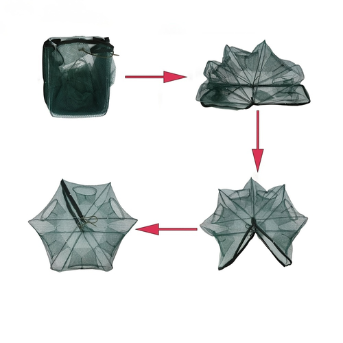 Collapsible Minnow Trap