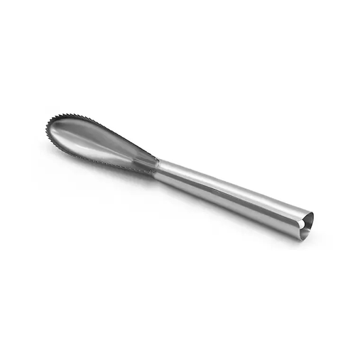 Fish scaler