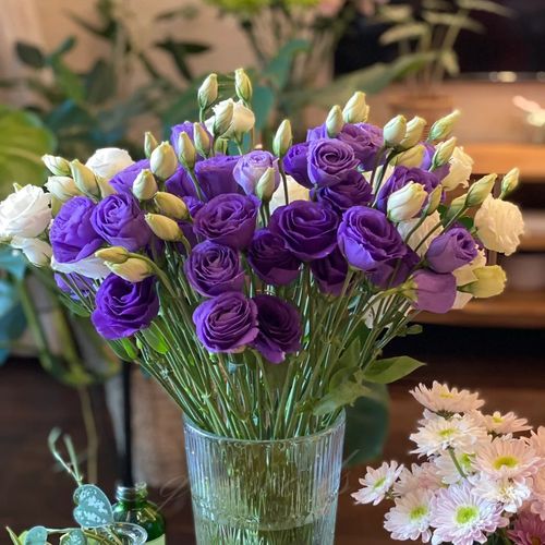 Eustoma Thornless Rose💐Lisanthus Seeds