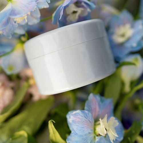 🎄Valentine's Day Deals-49% OFF🎄Spiral Ikebana Stem Holder