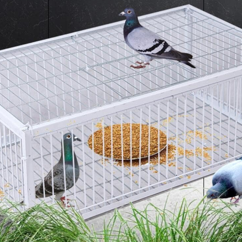 Metal wire pigeon trap cage with automatic trapping door, suitable for birds, chickens, small animals, and pets packaged in a box.