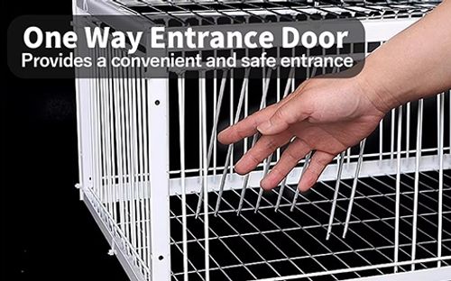 Metal wire pigeon trap cage with automatic trapping door, suitable for birds, chickens, small animals, and pets packaged in a box.