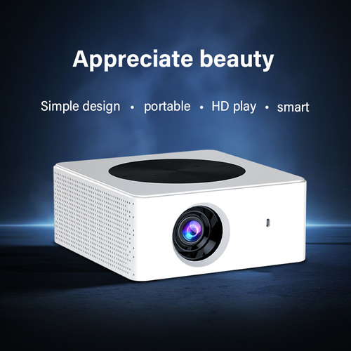 Projector