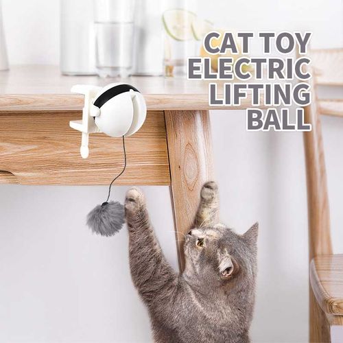 Cat Toy Electric Lifting Ball