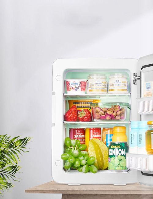 SAST car mounted mini refrigerator, car home dual-use mini beauty mini, self driving travel exclusive breast milk refrigeration, dormitory single use 16L