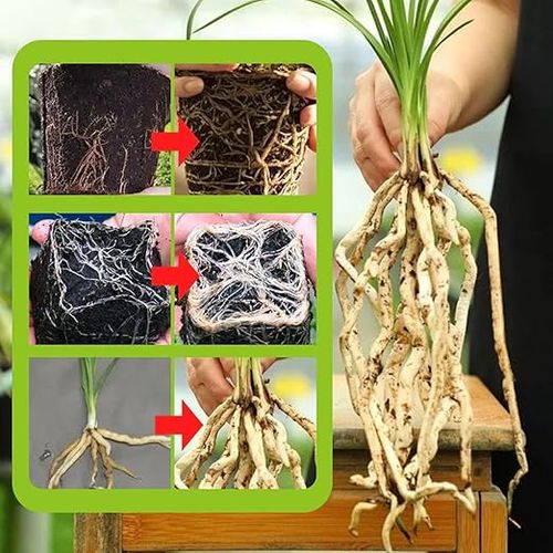 500g Rapid Strong Rooting Fertilizer Plant Universal Rooting