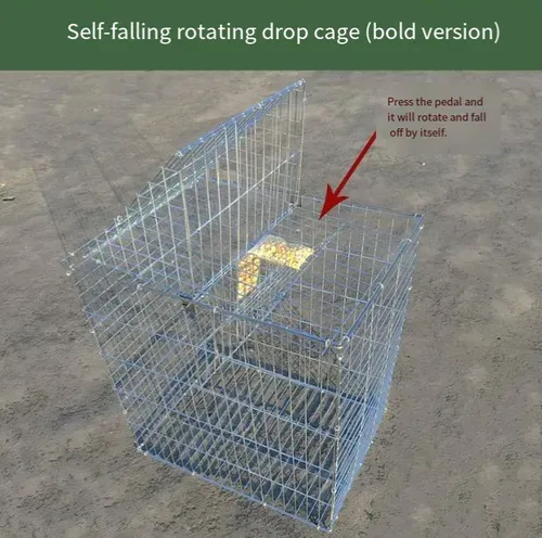 productThumbnail