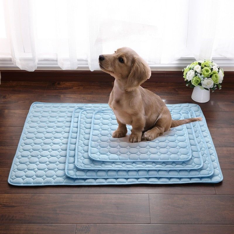 Cooling Dog Mat