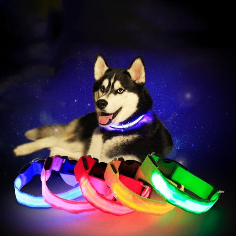 Led Glow Dog Collar