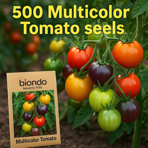 Super sweet tomato seeds - 107 seeds. Traditional heirloom variety. Fast-growing perennial plant seeds. Suitable for indoor and outdoor gardens. Best for spring sowing and home cultivation.
