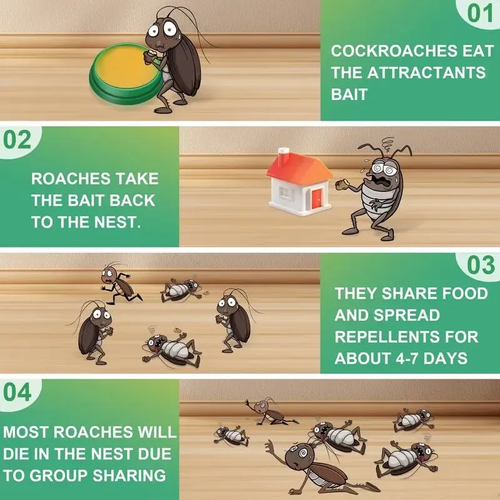 Cockroach Exterminator