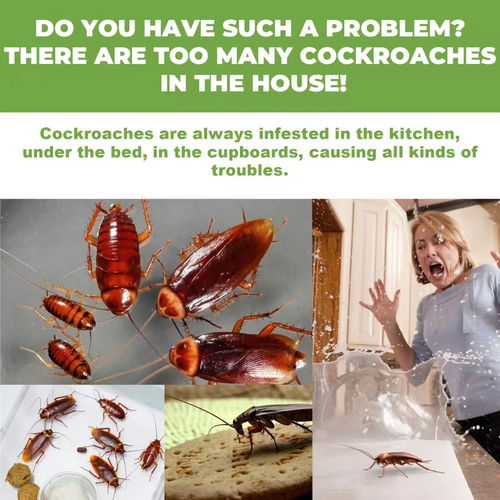 Cockroach Exterminator