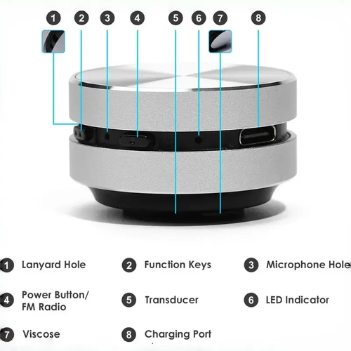Anything speaker