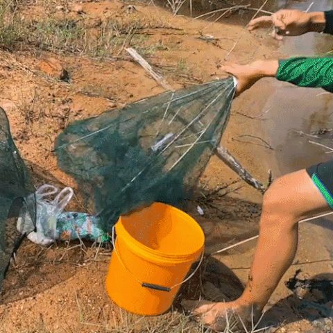 The Magic Foldable Fishing Trap