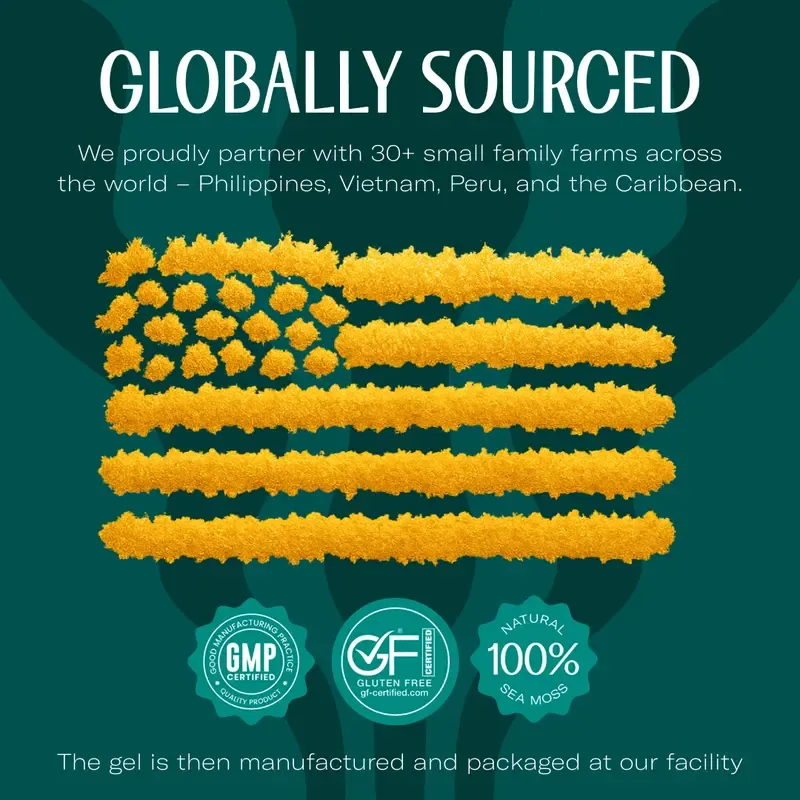 True Sea Moss Irish Sea Moss Gel | Multiple Flavors – Rich in Essential Minerals & Vitamins – supports vitality