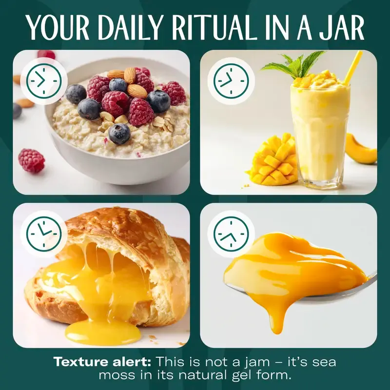 True Sea Moss Irish Sea Moss Gel | Multiple Flavors – Rich in Essential Minerals & Vitamins – supports vitality