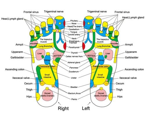 Portable acupressure plate foot massage pad healthy walking foot pressure plate massager imitation goose soft stone leg back