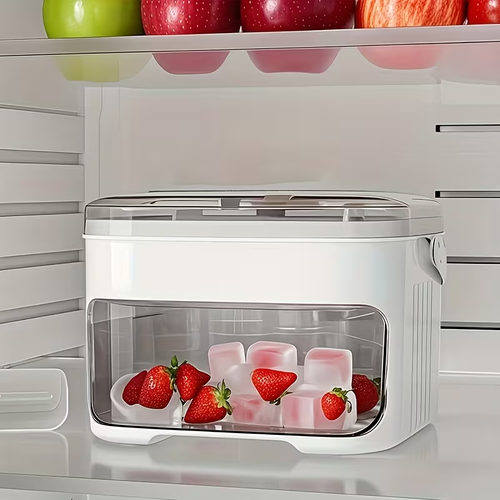 Press Cube of Ice Mold with Lid