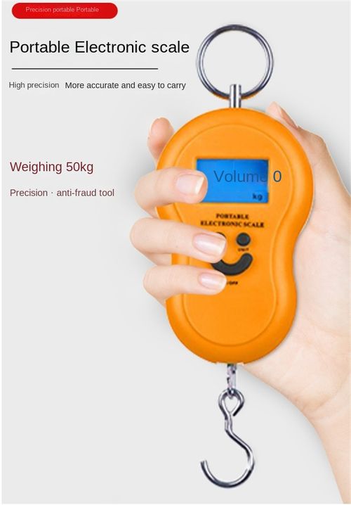 Precise 50kg Backlit Hoist Scale, Mini Portable Electronic Scale, A Great Helper for Weighing Fishing Items, Luggage and Express Parcels at Home